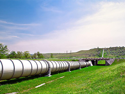 BOB体育官方入口产品中心二